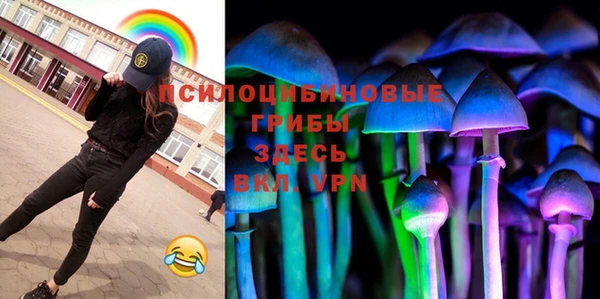 первитин Лиски