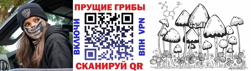 наркотики  Щёкино  Псилоцибиновые грибы ЛСД 